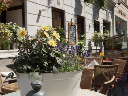 Foto: Weinhaus Michel